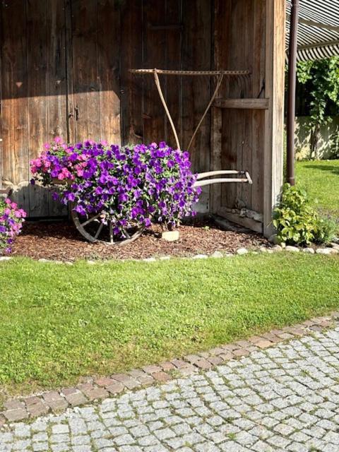 Milcherhof Mieders Luaran gambar